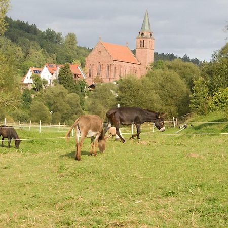 Ferienwohnung Spreter Zimmern ob Rottweil ภายนอก รูปภาพ
