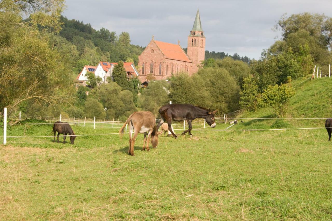 Ferienwohnung Spreter Zimmern ob Rottweil ภายนอก รูปภาพ